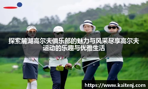 hth华体会入口